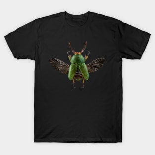 Saw Toothed Beetle T-Shirt